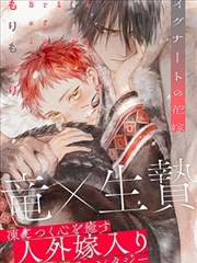 片目图鉴封面：雾港来信